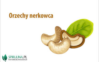 Orzechy nerkowca