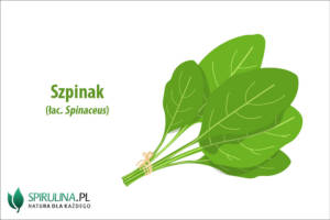 Szpinak