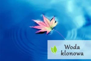 Woda klonowa - właściwości i wpływ na zdrowie