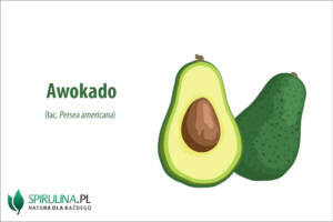 awokado