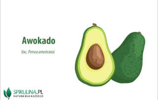 awokado