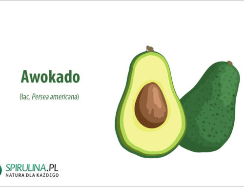 Awokado