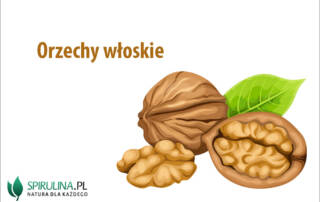 Orzechy włoskie