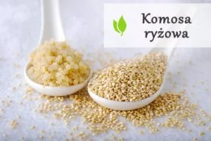 Komosa ryżowa - powody, dla których warto ją jeść