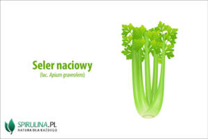 Seler naciowy