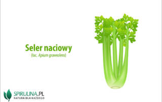 Seler naciowy