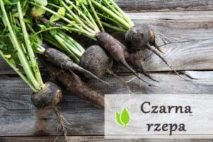 Czarna rzepa - właściwości i zastosowanie