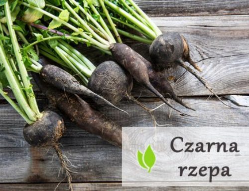 Czarna rzepa – właściwości i zastosowanie