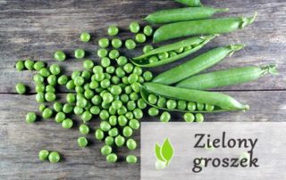 Zielony groszek - dlaczego warto go jeść?