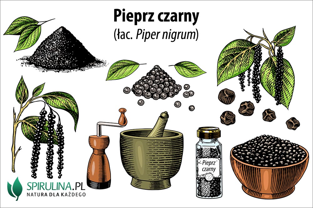 Pieprz czarny – wpływ na zdrowie człowieka Pieprz czarny - wpływ na zdrowie człowieka
