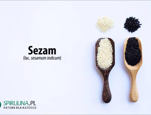Sezam