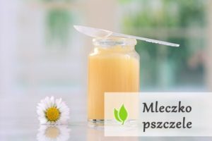 Mleczko pszczele - sposób na wieczną młodość?