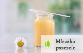 Mleczko pszczele - sposób na wieczną młodość?