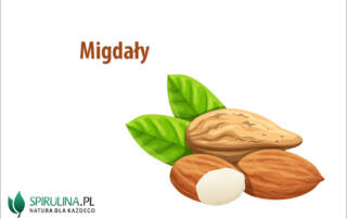 Migdały