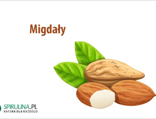 Migdały