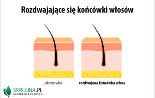 Rozdwajające się końcówki włosów