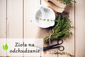 Zioła na odchudzanie