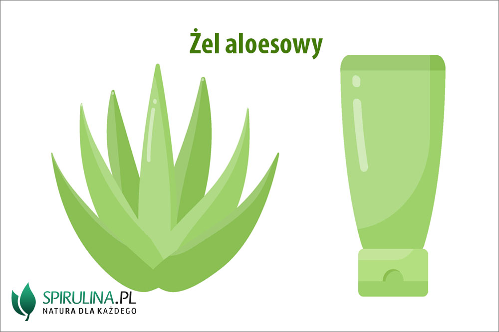Żel aloesowy – właściwości i przeznaczenie Żel aloesowy - właściwości i przeznaczenie