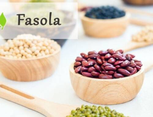 Fasola – powody, dla których warto ją jeść