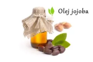 Olej jojoba - właściwości i zastosowanie