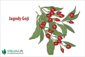 Jagody Goji