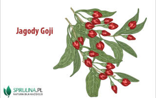 Jagody Goji