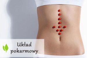 Jak wspomóc pracę układu pokarmowego?