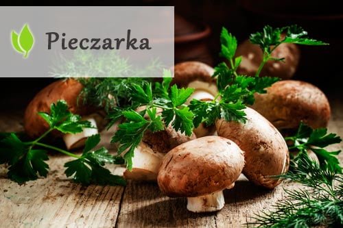 Pieczarki – właściwości i zastosowanie Pieczarki - właściwości i zastosowanie
