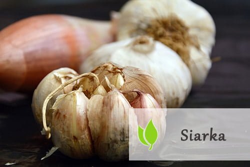 Siarka – rola, źródła, skutki niedoboru Siarka - rola, źródła, skutki niedoboru