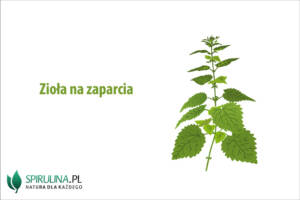 Zioła na zaparcia