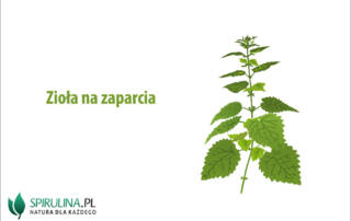 Zioła na zaparcia