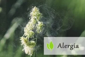 Alergia - jak sobie z nią radzić?