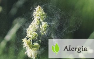 Alergia - jak sobie z nią radzić?