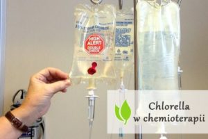 Chlorella w chemioterapii