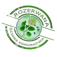 Rozerwana ściana komórkowa chlorelli