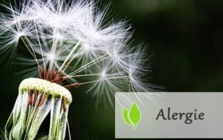 Alergie - zwalcz je odpowiednią dietą