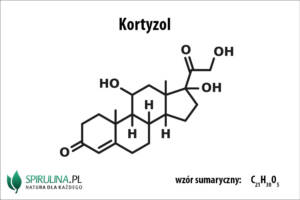 Kortyzol