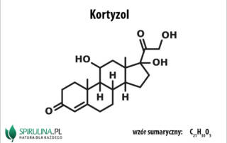 Kortyzol