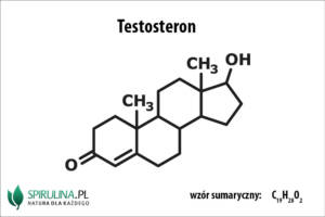 Testosteron