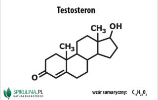 Testosteron