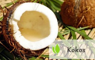 Kokos - właściwości i zastosowanie