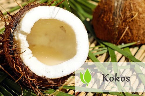 Kokos – właściwości i zastosowanie Kokos - właściwości i zastosowanie
