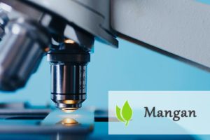 Mangan - jakie funkcje spełnia w organizmie?