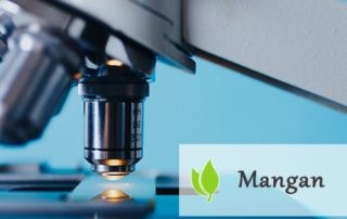 Mangan - jakie funkcje spełnia w organizmie?