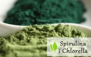 Spirulina i Chlorella z rozerwaną ścianą komórkową