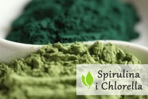 Spirulina i Chlorella z rozerwaną ścianą komórkową Spirulina i Chlorella z rozerwaną ścianą komórkową