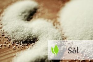 Sól - wpływ na organizm człowieka