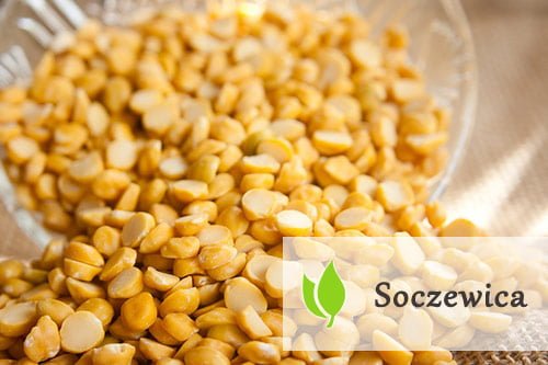 Soczewica – właściwości zdrowotne Soczewica - właściwości zdrowotne