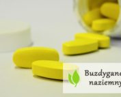 Buzdyganek naziemny - czym jest i jak działa?