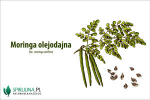 Moringa